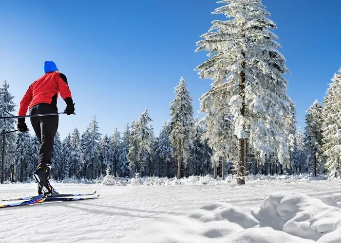 Woodhome - Luxury Mountain Lejlighed *